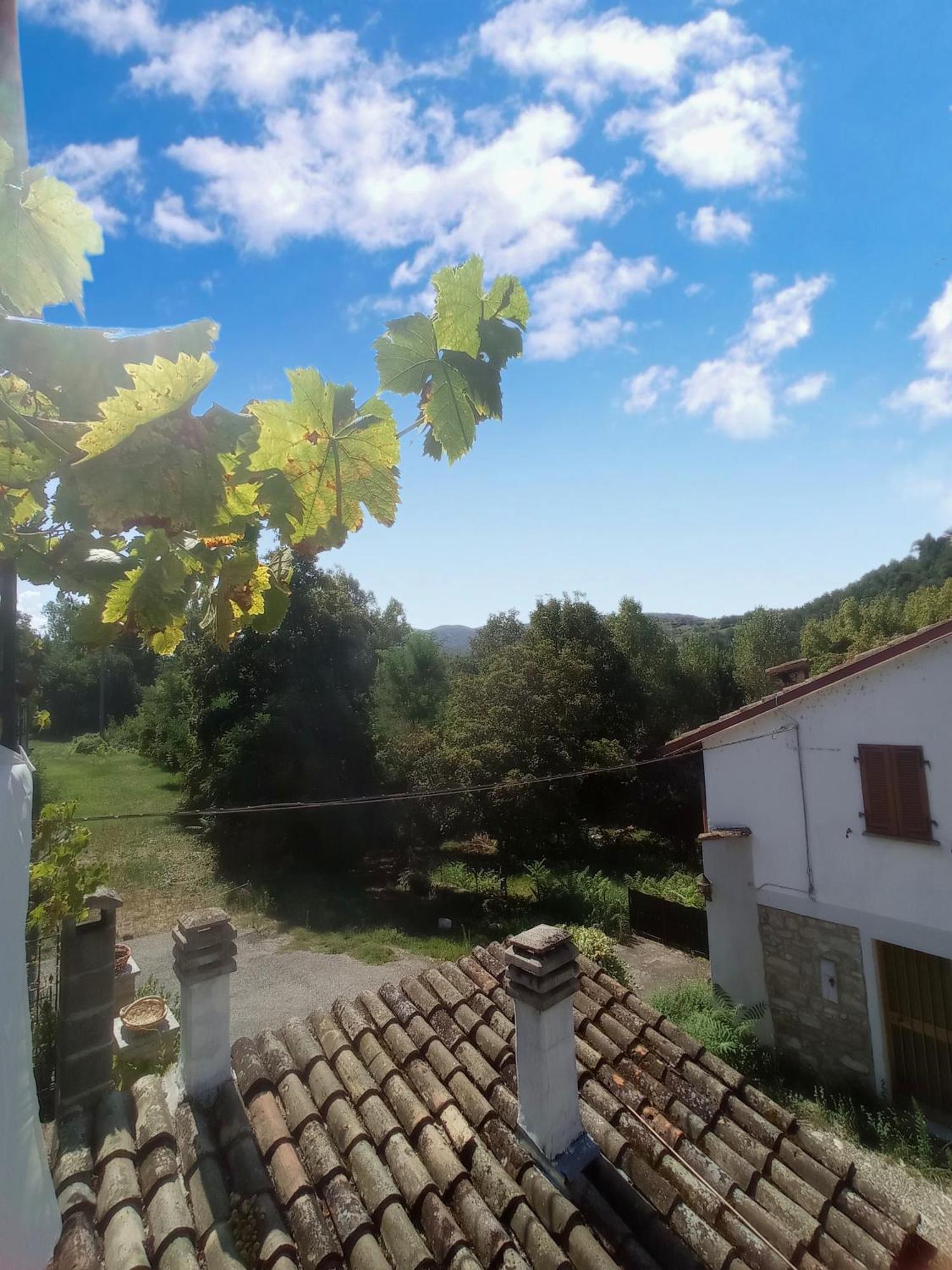 Dulcius Ex Asperis Bed & Breakfast Ponte Nizza Exterior photo